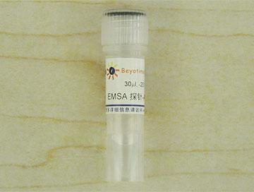 EMSA探针－SP1 (10μM)